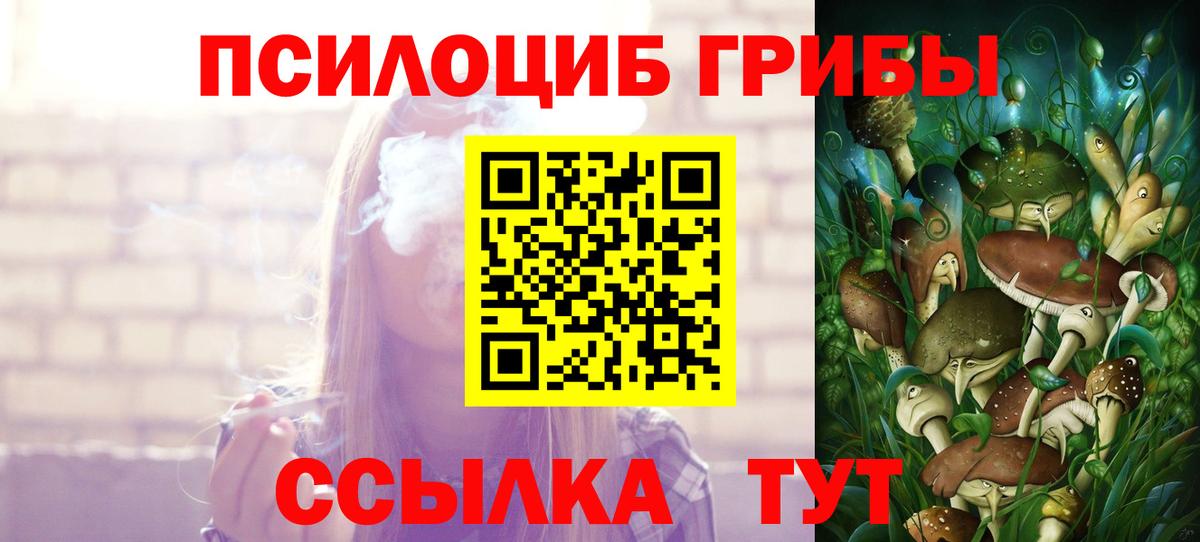 Бирск  Псилоцибиновые грибы прущие грибы  Вход с VPN  Галлюциногенные грибы GOLDEN TEACHER 